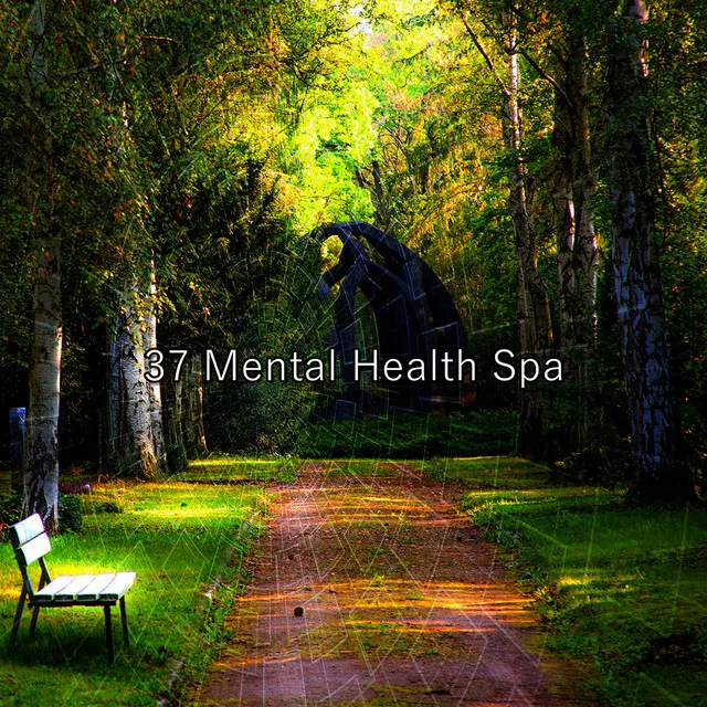 37 Mental Health Spa