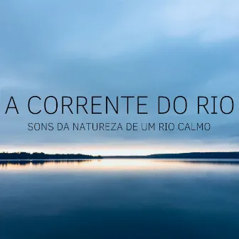 A Corrente Do Rio: Sons Da Natureza De Um Rio Calmo by Música para Programar