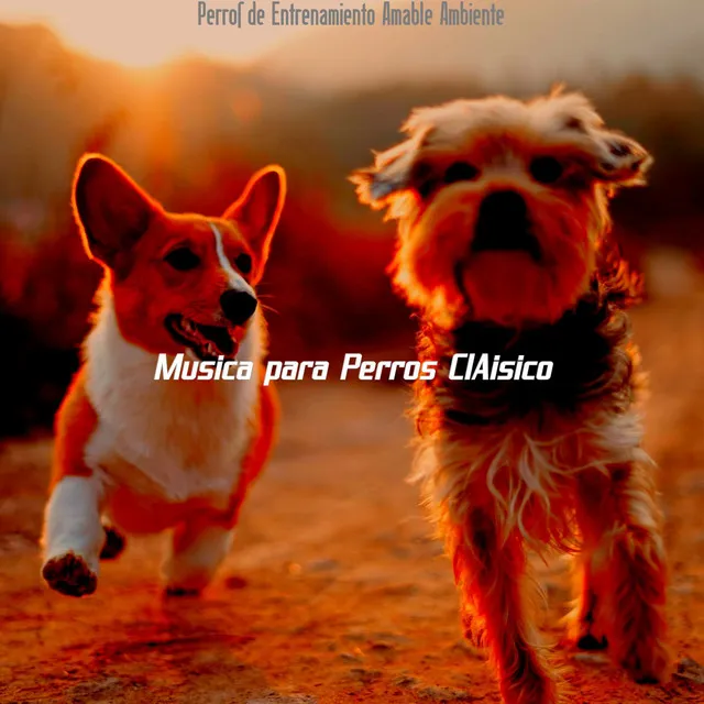 Sentimientos (Perros Calmantes Sutil)