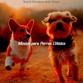 Perros de Entrenamiento Amable Ambiente by Musica para Perros ClAisico