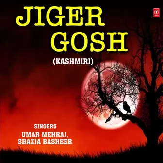 Jiger Gosh by Shazia Basheer