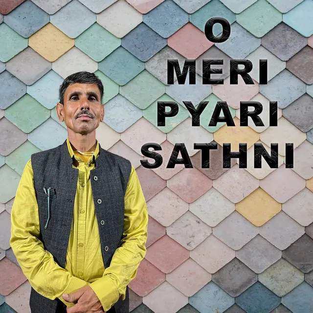 O Meri Pyari Sathni