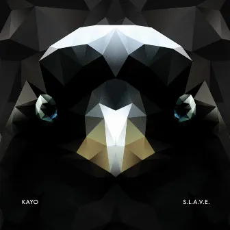 S.L.A.V.E. by Kayo