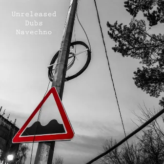 Unreleased Dubs by Navechno