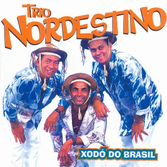 Xodó Do Brasil by Trio Nordestino