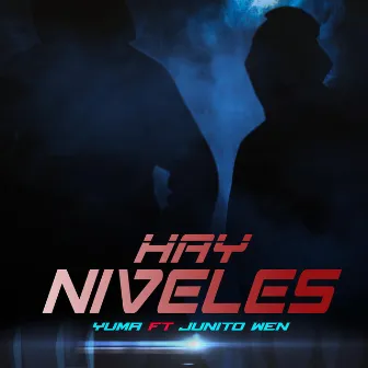 Hay Niveles by Unknown Artist