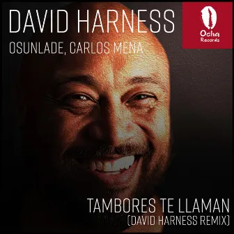 Tambores Te Llaman (David Harness Remix) by Carlos Mena