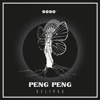 Eclipse by Peng Peng