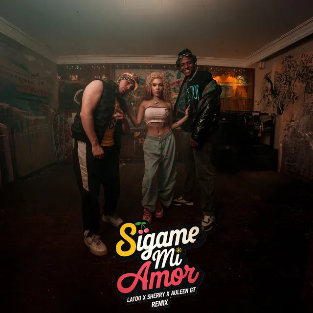 Sigame mi amor (Remix)