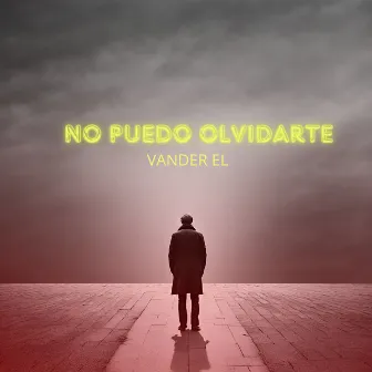 No Puedo Olvidarte by VANDER EL