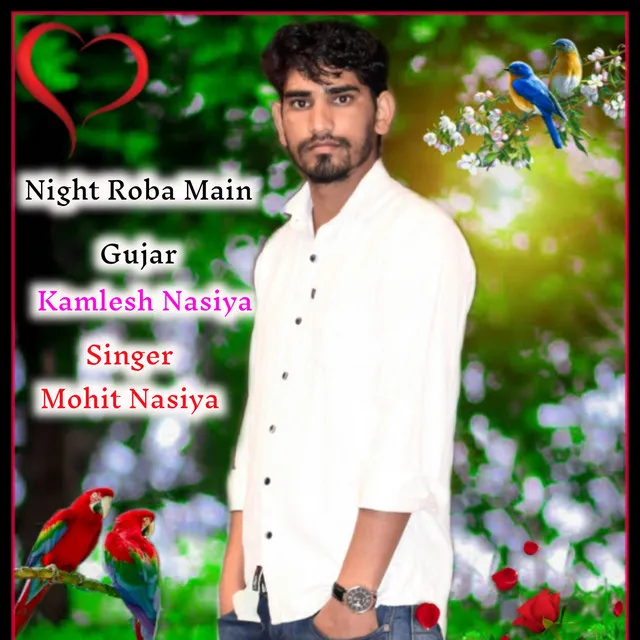 Night Roba Main Gujar