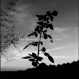 The Feelings I Couldn't Tell by Gustixa