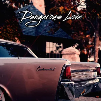 Dangerous Love by PAL