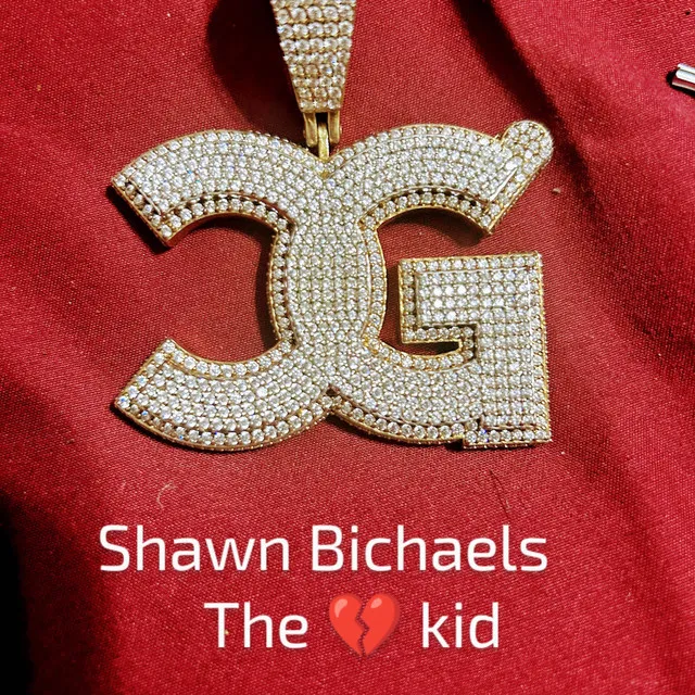 Shawn Bichaels The Heart Break kid