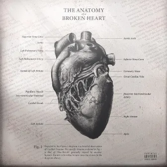 The Anatomy of a Broken Heart by davyvalekestrel