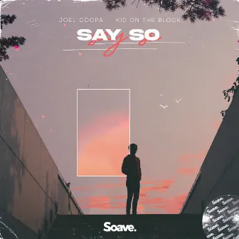 Say So by Joel Coopa