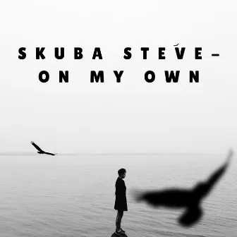 On My Own by Skuba Steve