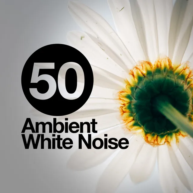 50 Ambient White Noise