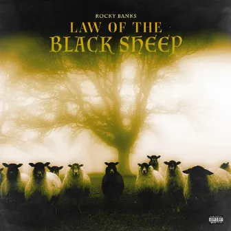 Law of the Black Sheep by Rocky Banks