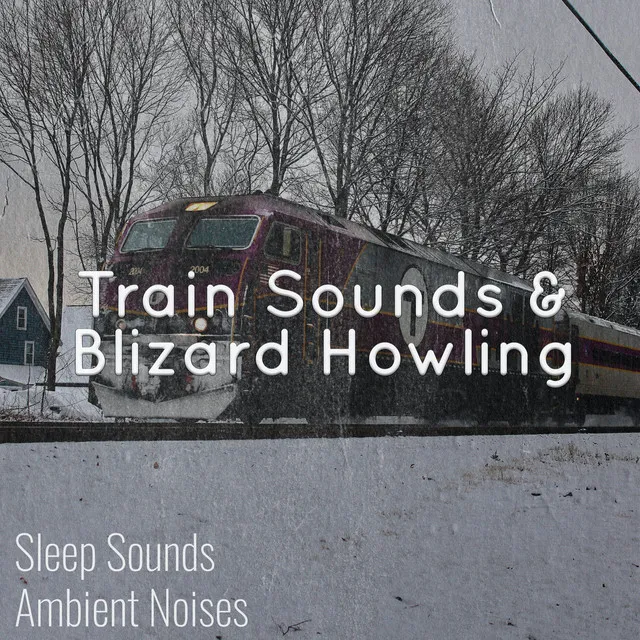 Train Sound for Sleep