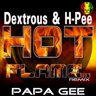 Hot Flame Remix by Papa Gee