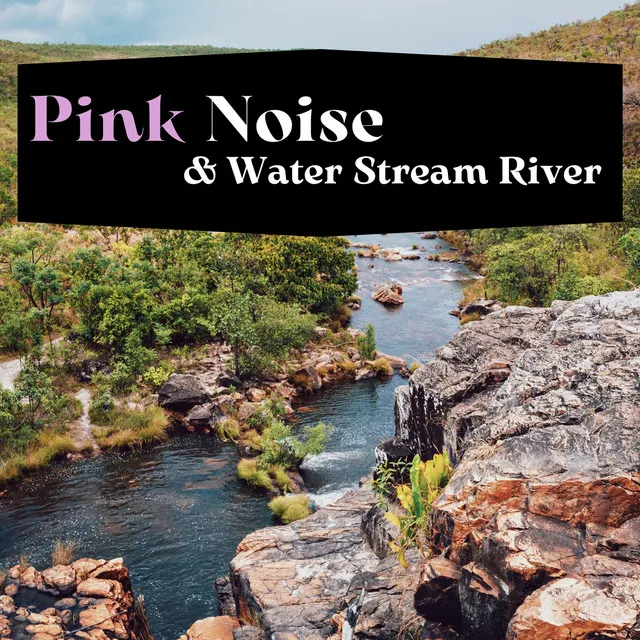 Pink Noise Traveler