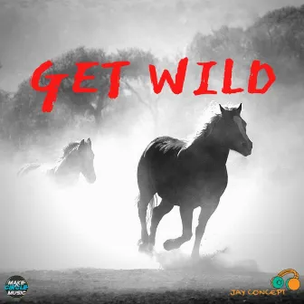 Get Wild by Jay Concept