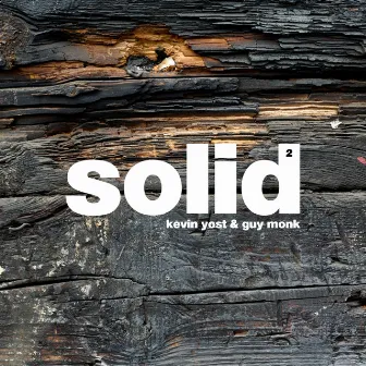 Solid, Vol. 2 by Guy Monk