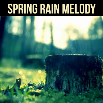 Spring Rain Melody - Gentle Rain Sound & Healing Ocean Waves, Pure Nature Sounds for Relaxation and Easily Fall Asleep by Healing Water Sounds