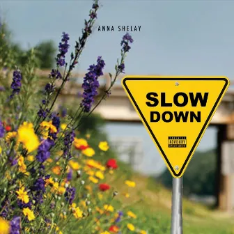 Slow Down by Anna Shelay