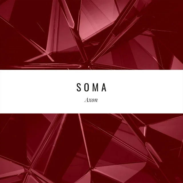 Soma