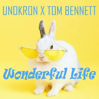 Wonderful Life by Tom Bennett