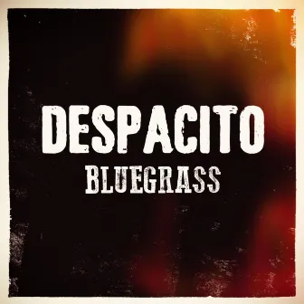 Despacito by Chris Roberts