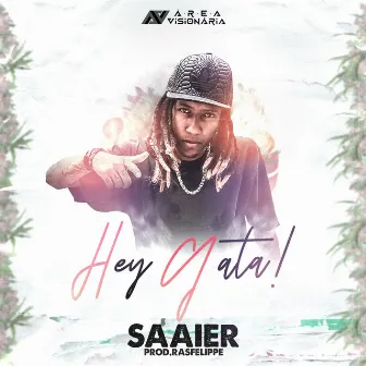 Hey Gata! by Saaier