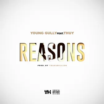 Reasons (feat. Thuy) - Single by Young Gully