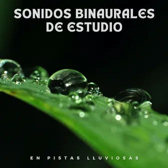 Sonidos binaurales de estudio en pistas lluviosas by Momentos relajantes de música de estudio