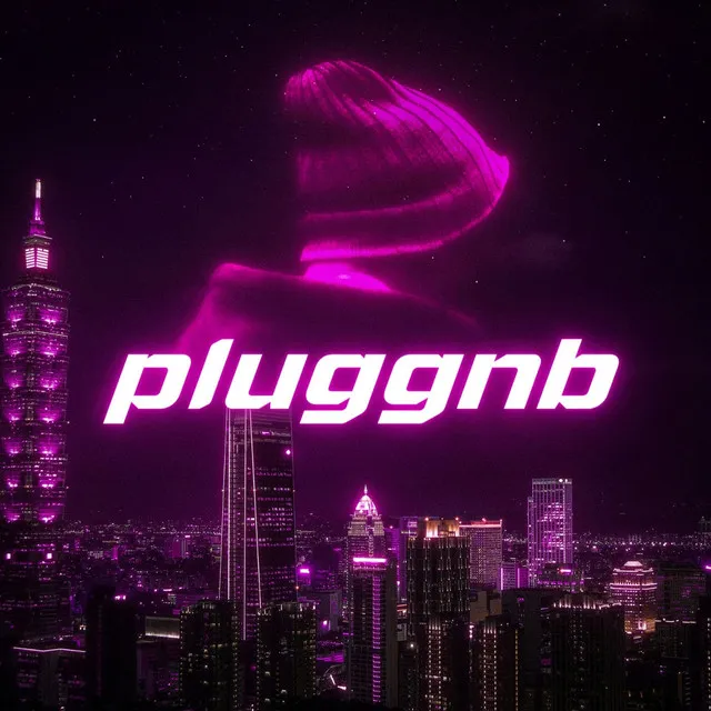 Pluggnb