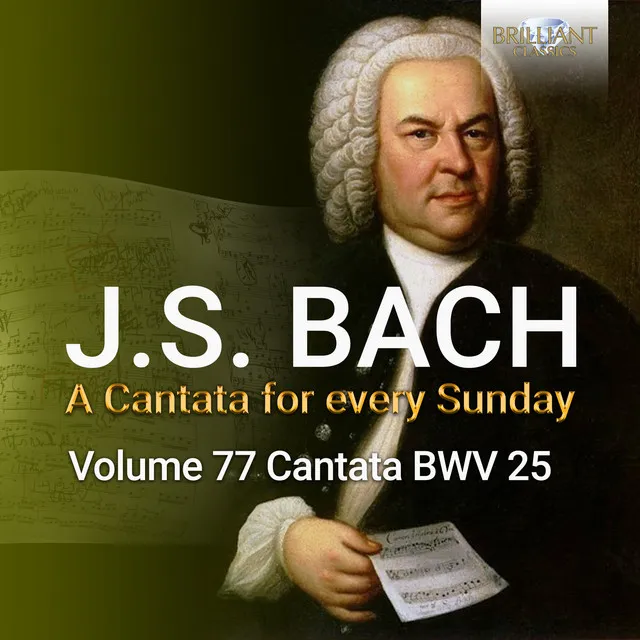 Es ist nichts Gesundes an meinem Leibe, BWV 25: IV. Recitativo. O Jesu, lieber Meister (Soprano)