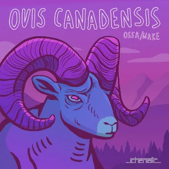 Ovis Canadensis by Wake