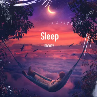 Sleep by Droopy