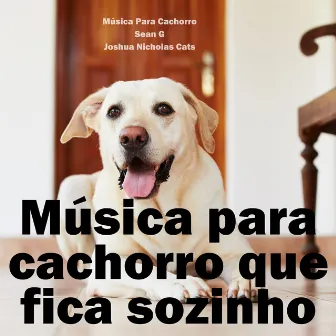 Música para cachorro que fica sozinho by Música Para Cachorro