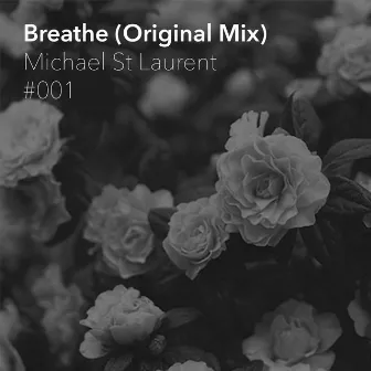 Breathe by Michael St Laurent