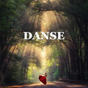 DANSE by Jok'os