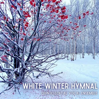 White Winter Hymnal by Quintessential Vocal Ensemble