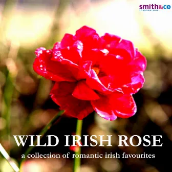 Wild Irish Rose - A Collection of Romantic Irish Favourites by Claire Hamilton