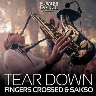 Tear Down by Sakso