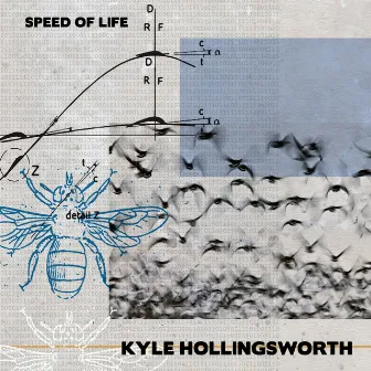 Speed of Life by Kyle Hollingsworth