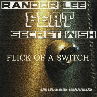 Flick Of A Switch by Randor Lee