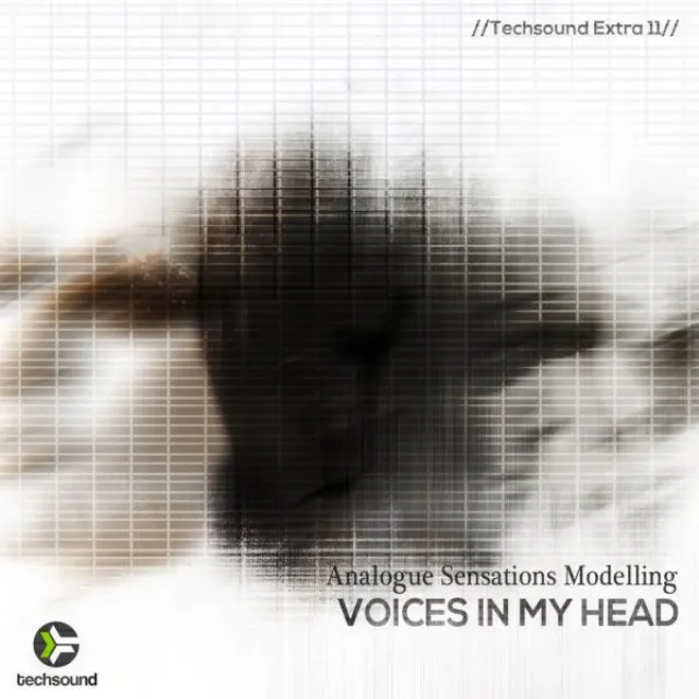 Voices in my Head