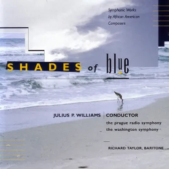 Shades of Blue by Julius Williams